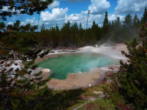 YellowstoneNorrisGeyserBasin0516