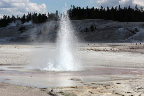 YellowstoneNorrisGeyserBasin5238