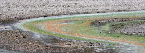 YellowstoneNorrisGeyserBasin5241