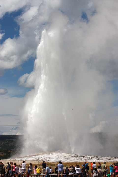 YellowstoneOldFaithful5039