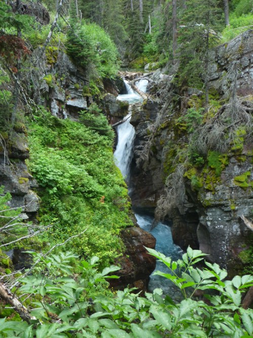 GlacierManyGlacierBoatHike0088