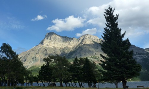 Waterton0116