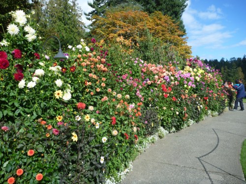 ButchartGardens0728