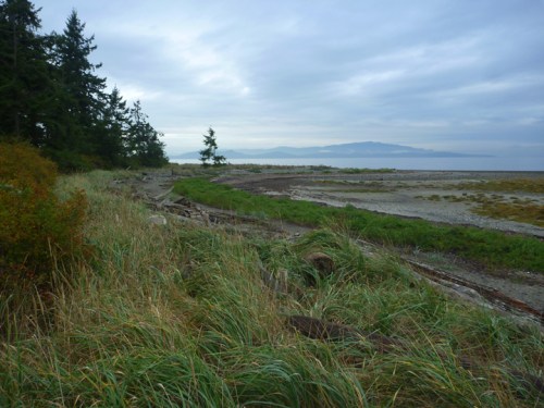 Parksville0806