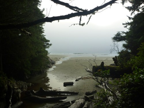 Tofino0919