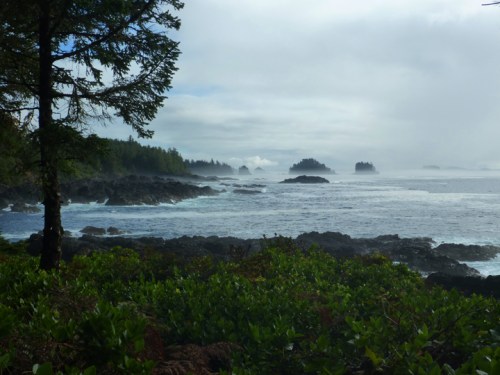 Ucluelet0883