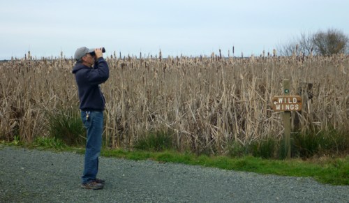 HumboldtBayNWR0766