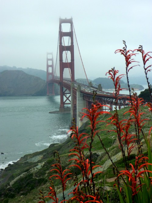 GoldenGate0033
