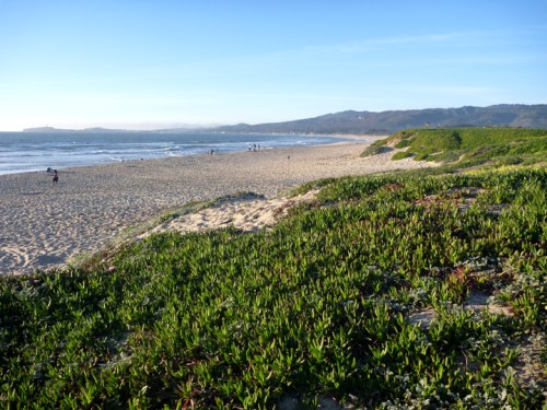 HalfMoonBay0082