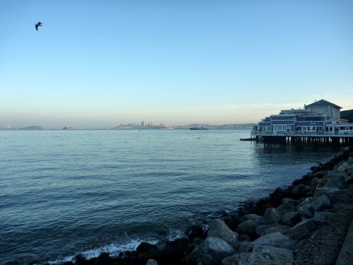 Sausalito0007