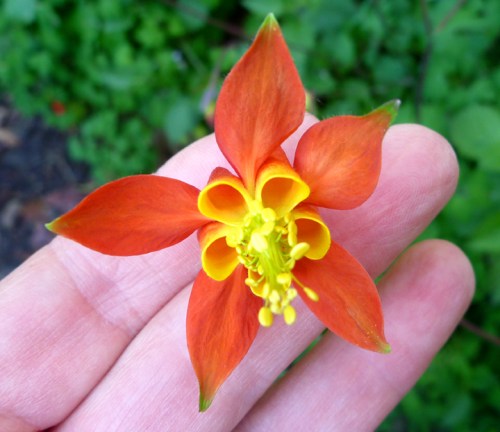 BigSurKirkCreekCG0551