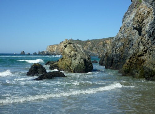 BigSurSandDollarBeach0569