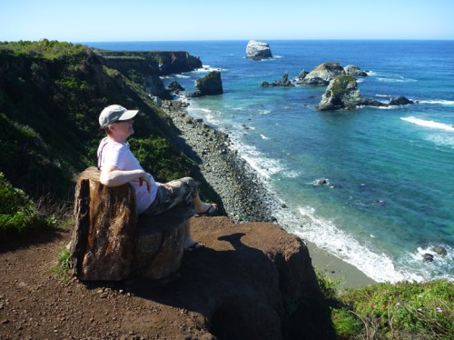 BigSurSandDollarBeach0575