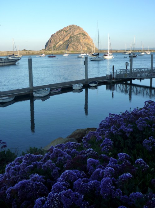 MorroBay0658