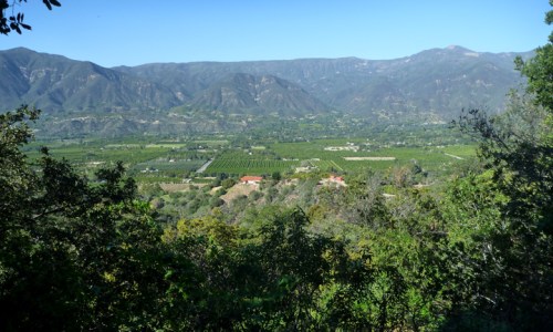 Ojai0683