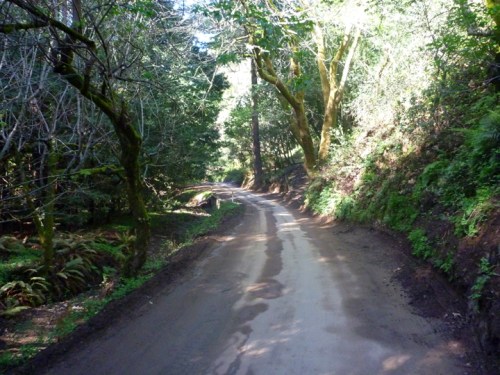 PfeifferStateBeach0461