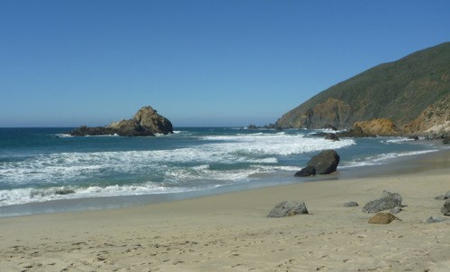 PfeifferStateBeach0492