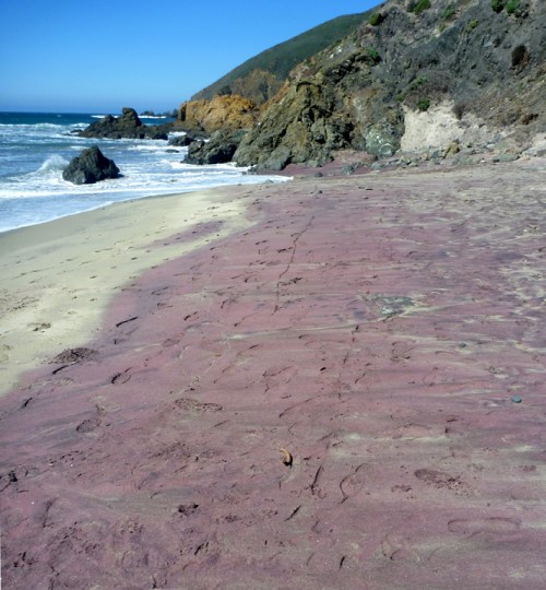 PfeifferStateBeach0493
