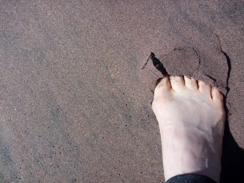 PfeifferStateBeach0494