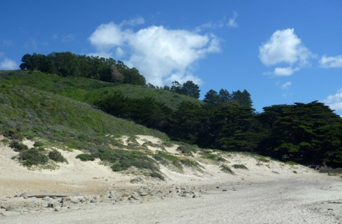PfeifferStateBeach0502