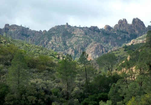 Pinnacles0218
