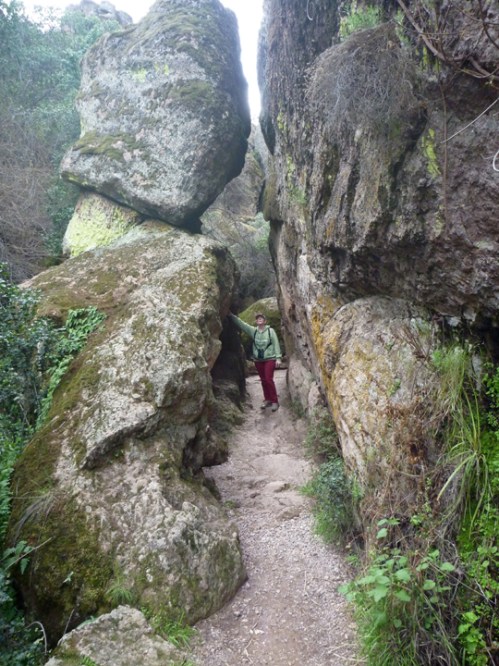 Pinnacles0238