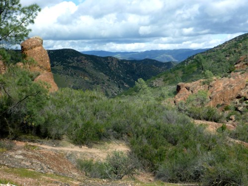 Pinnacles0305