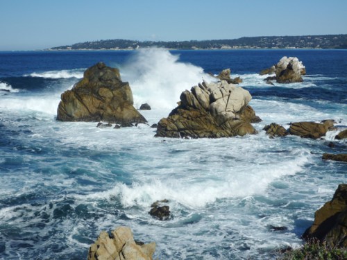 PointLobos0353