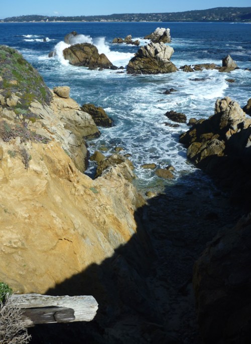 PointLobos0361