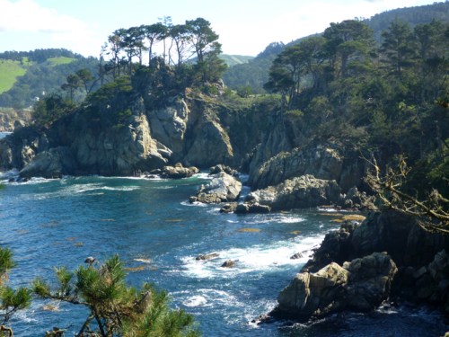 PointLobos0378