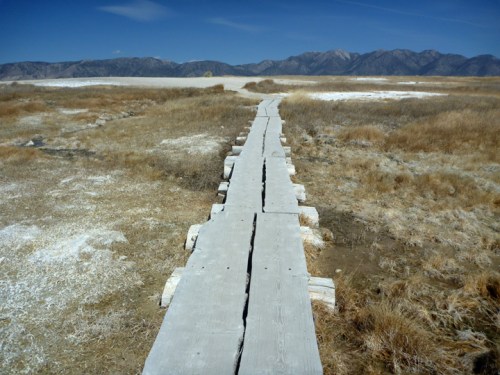 HilltopHotSprings0097