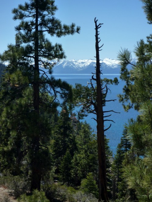 LakeTahoe0228