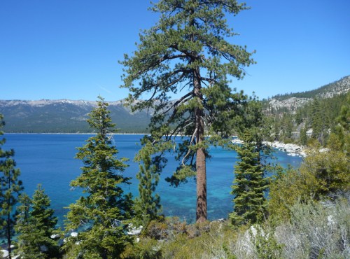 LakeTahoe0233