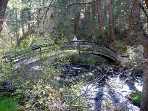 McArthurBurneyFallsSP0314