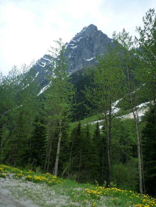 GlacierNP0969