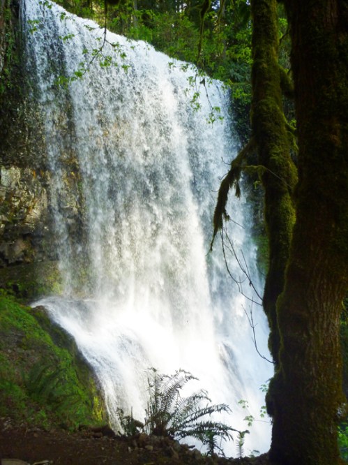 SilverFallsLowerSouth0481