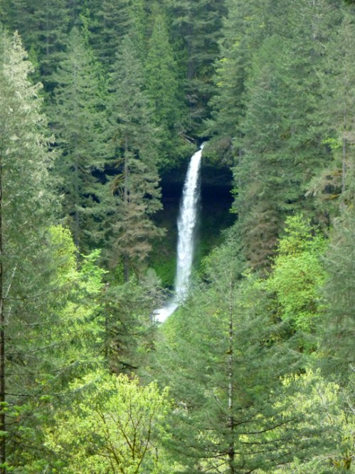 SilverFallsNorth0547