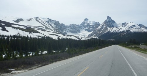 IcefieldsParkway0669