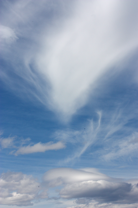 IcefieldsParkway5780