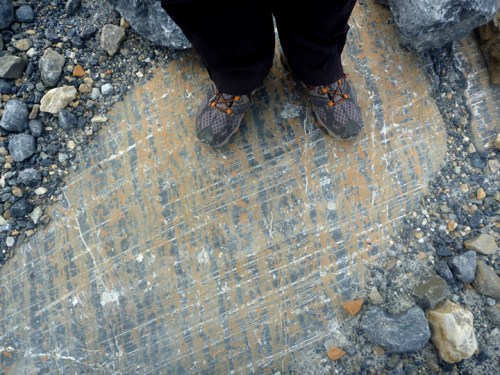 IcefieldsParkwayAthasbasca0686