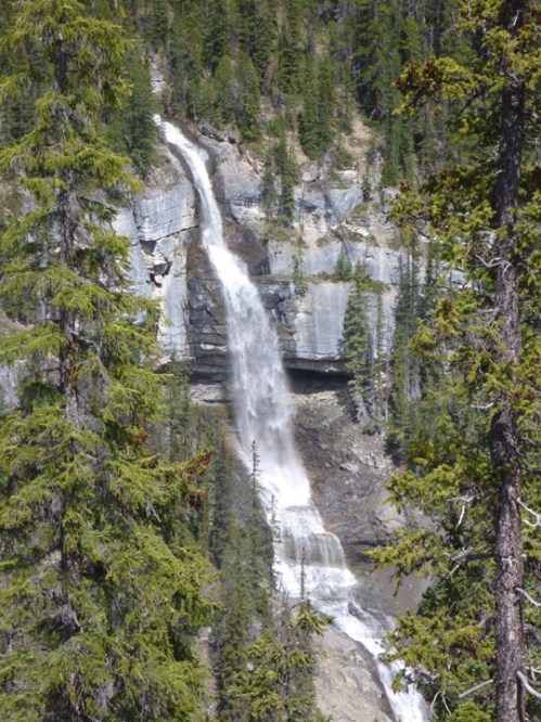 IcefieldsParkwayBridalveil0666