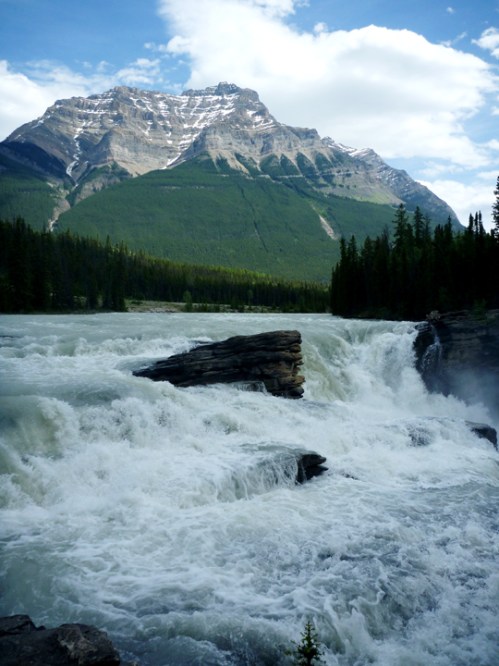 JasperNPAthabascaFalls0708