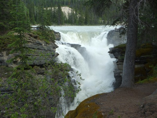 JasperNPAthabascaFalls0720