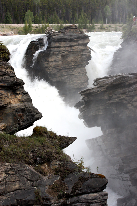 JasperNPAthabascaFalls5784