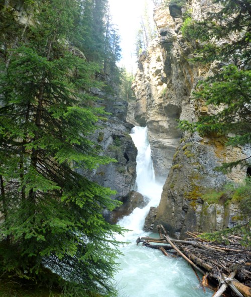 Johnston Canyon Falls 2Cropped