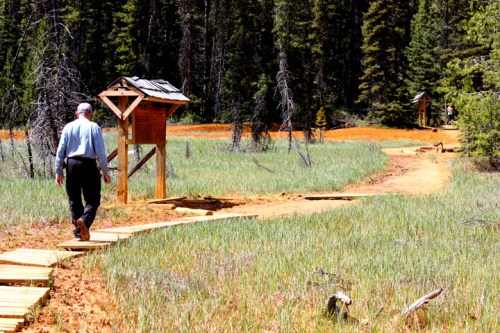 KootenayPaintPots5614