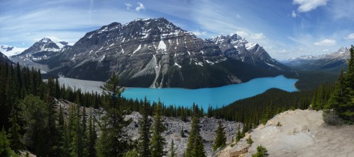 Peyto Lake - All4Pc