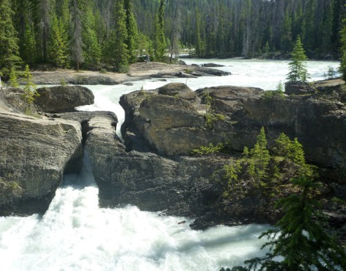 YogoNaturalBridge0567