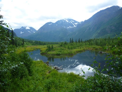 ChugachStateParkNatureCenter0370