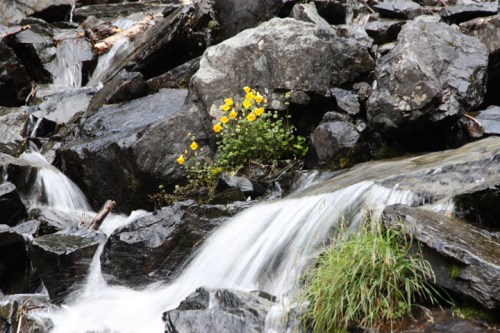 ValdezHorsetailFalls5944